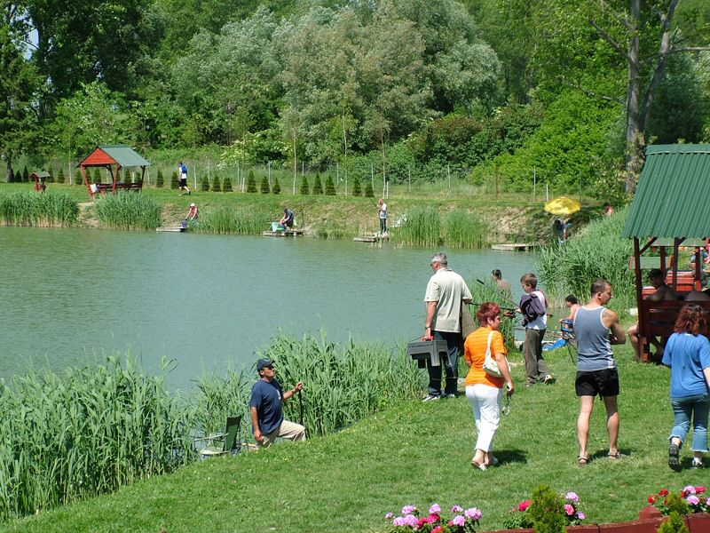 DSCF8072.jpg
