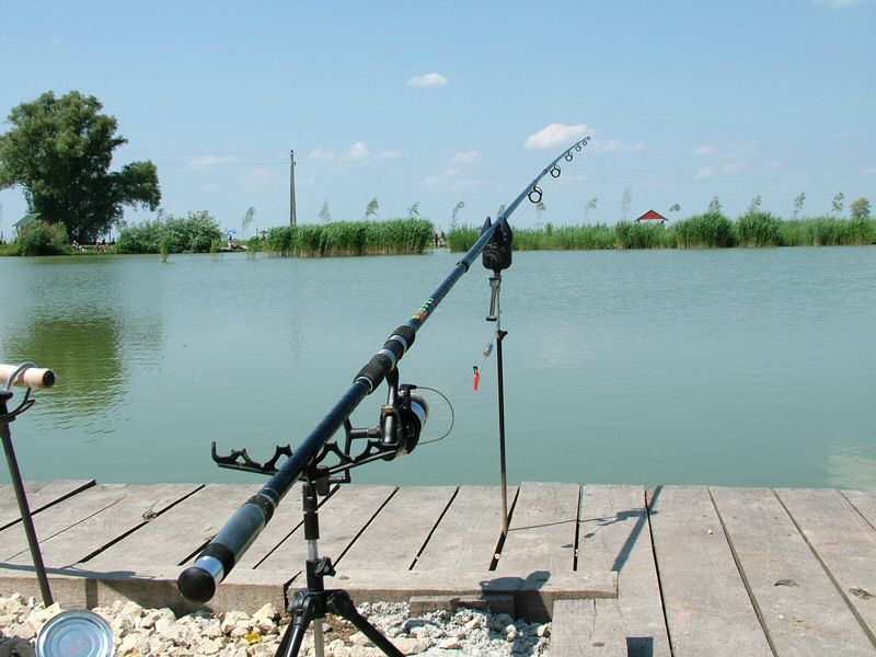 DSCF8077.jpg