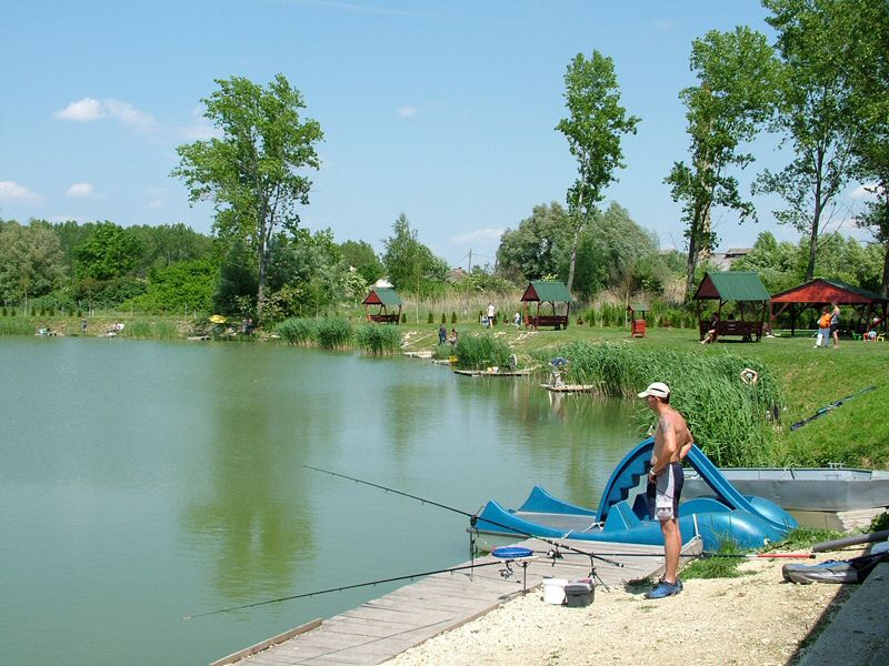 DSCF8082.jpg