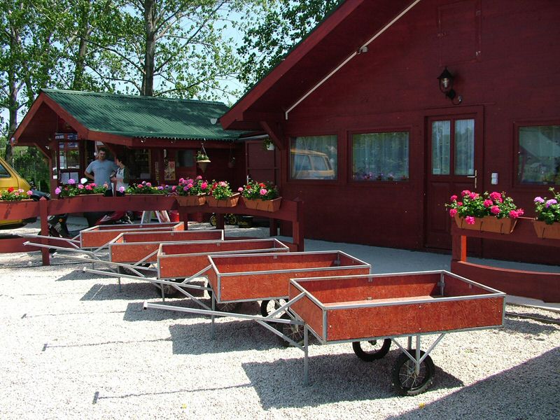 DSCF8084.jpg