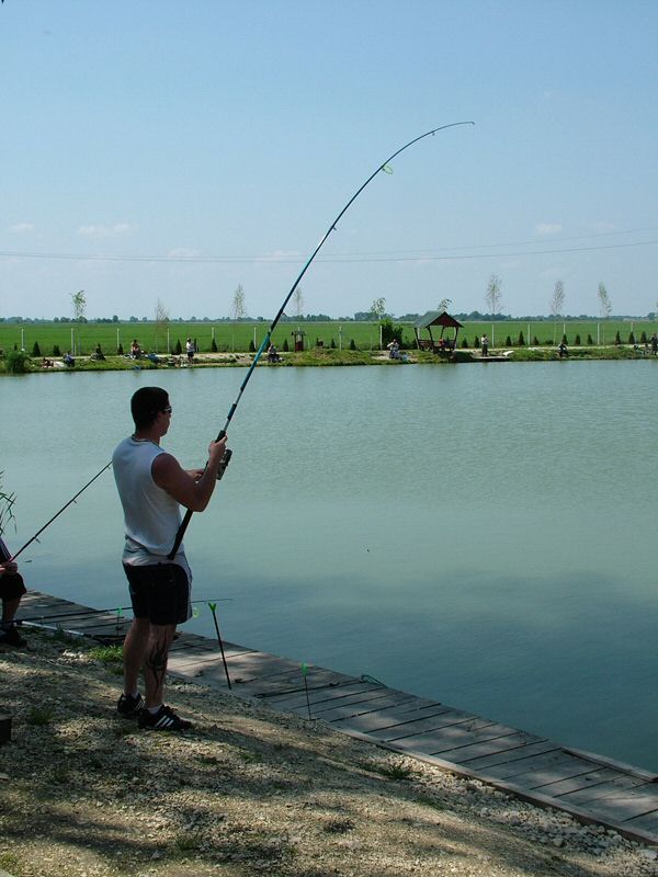 DSCF8085.jpg