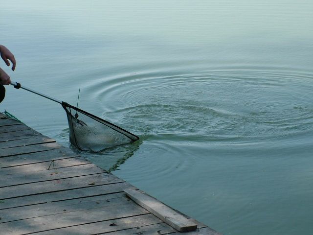 DSCF8088.jpg