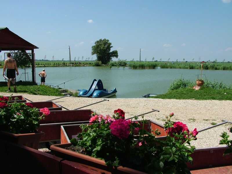 DSCF8091.jpg