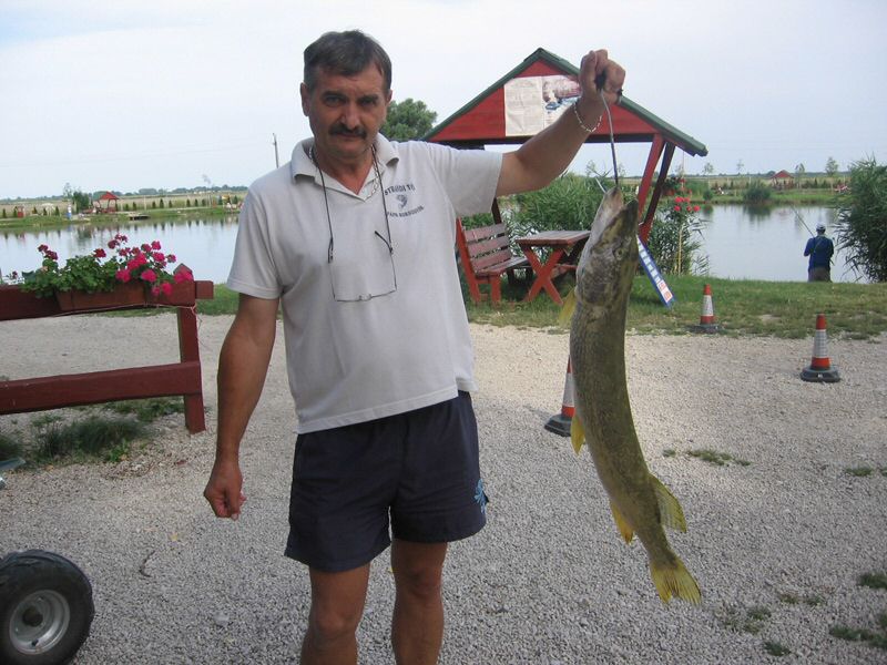 IMG_2594.jpg