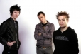 Sum41 2007 sum691.jpg