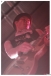 TomThacker 2011 264097_2084024109737_1519145024_2333546_3816321_n.jpg