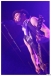 TomThacker 2011 269930_2084581283666_1519145024_2334426_7312452_n.jpg