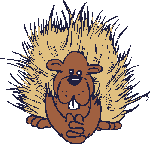hedgehog