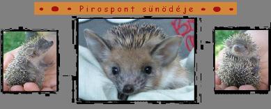 pirospont