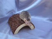 tanrek3