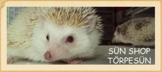 sunshop