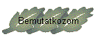 Bemutatkozom