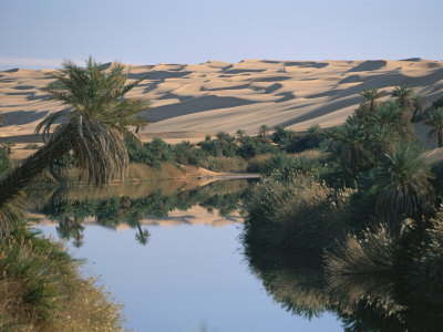 szahara9