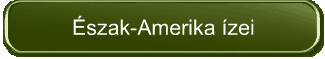 Észak-Amerika ízei