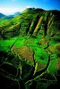 Cultures_sur_les_flancs_dun_volcan