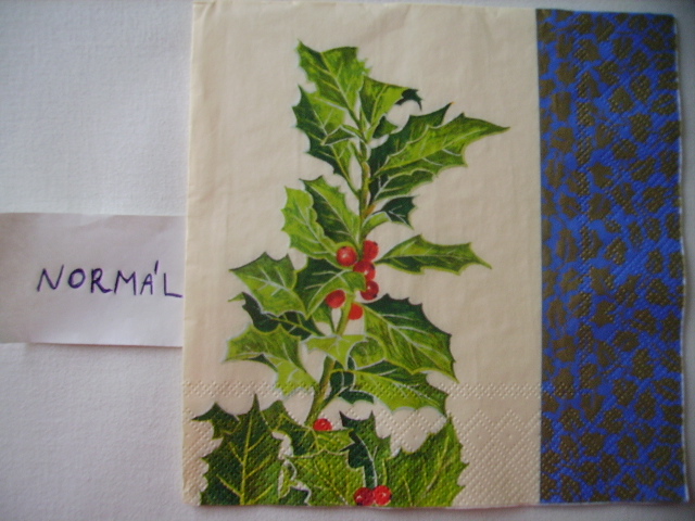 szalvta: PICT4068.JPG