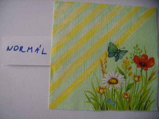 szalvta: PICT7037.JPG