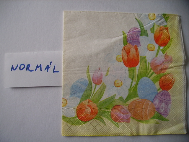 szalvta: PICT7169.JPG