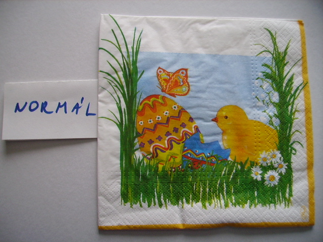 szalvta: PICT9721.JPG