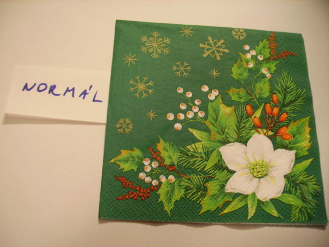 szalvta: PID10283.JPG