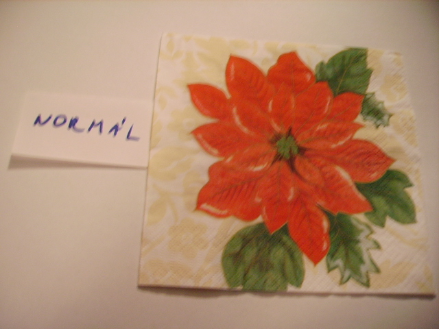 szalvta: PID10287.JPG