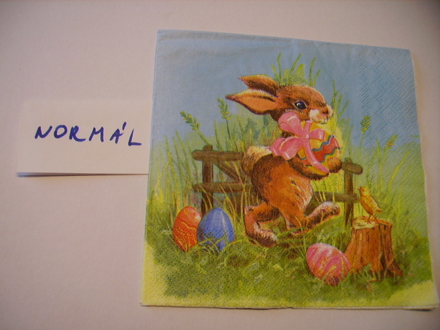 szalvta: PID10546.JPG