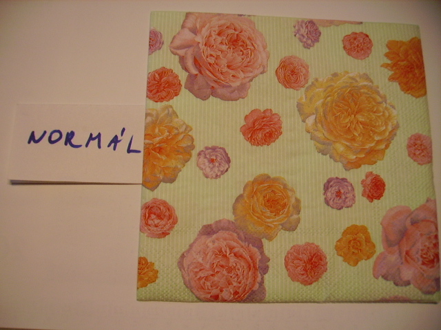 szalvta: PID11391.JPG