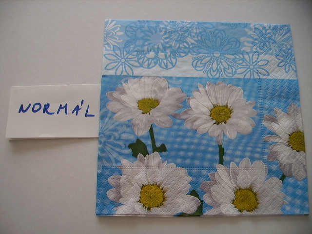 szalvta: PID11586.JPG