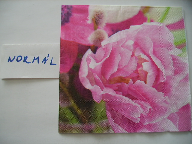 szalvta: PID11987.JPG