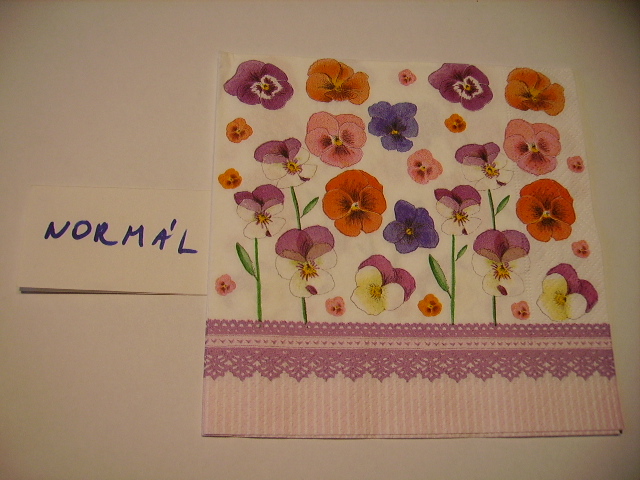 szalvta: PID12264.JPG