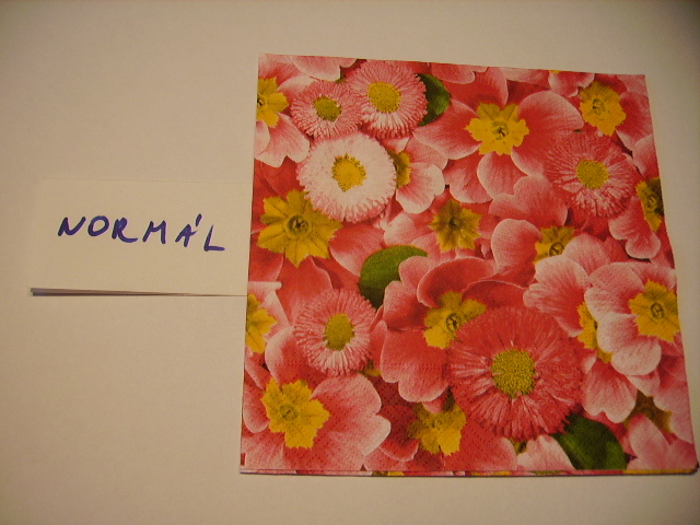 szalvta: PID12266.JPG