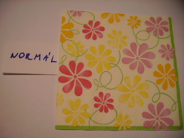 szalvta: PID12268.JPG