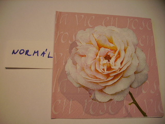 szalvta: PID12269.JPG