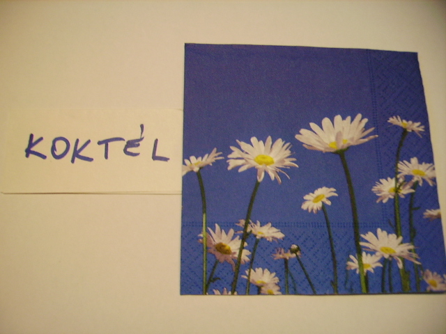 szalvta: PID12278.JPG