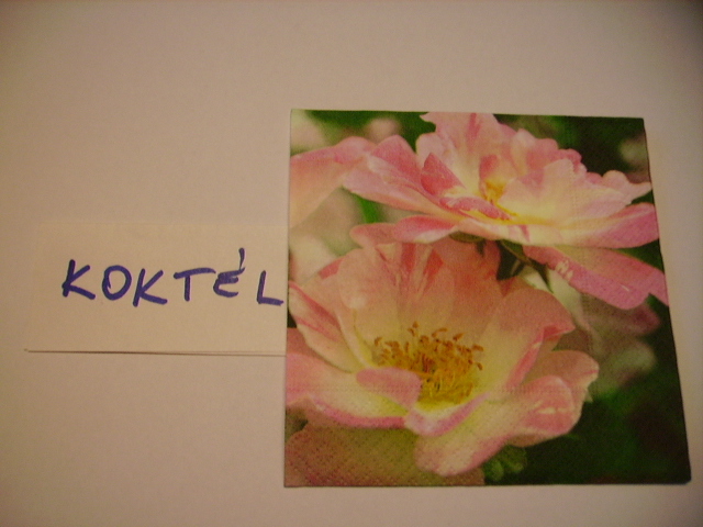 szalvta: PID12280.JPG