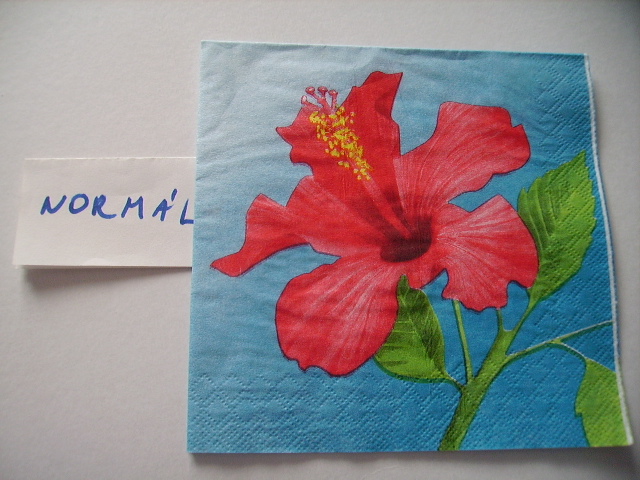 szalvta: PID12398.JPG