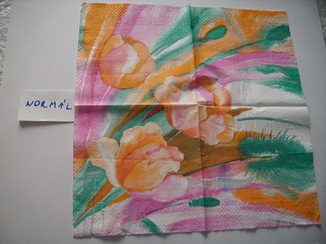 szalvta: PID12414.JPG