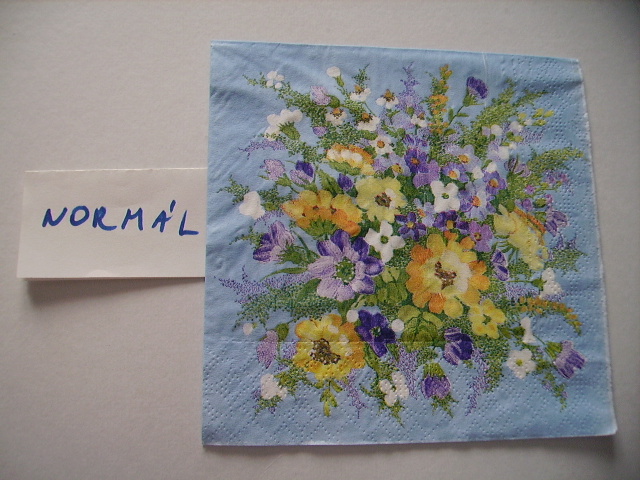 szalvta: PID12434.JPG