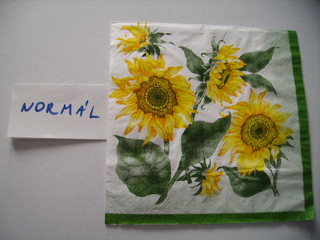 szalvta: PID12435.JPG