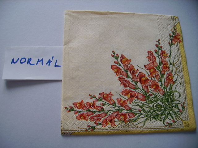 szalvta: PID12448.JPG