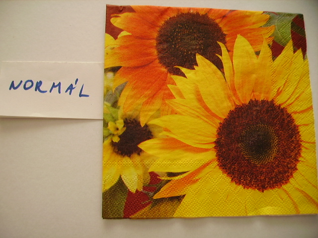 szalvta: PID12512.JPG