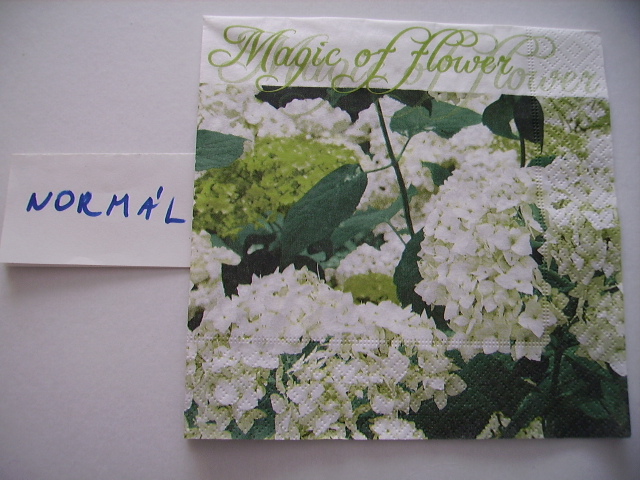 szalvta: PID12513.JPG