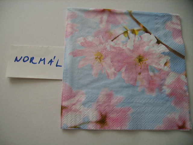 szalvta: PID12836.JPG