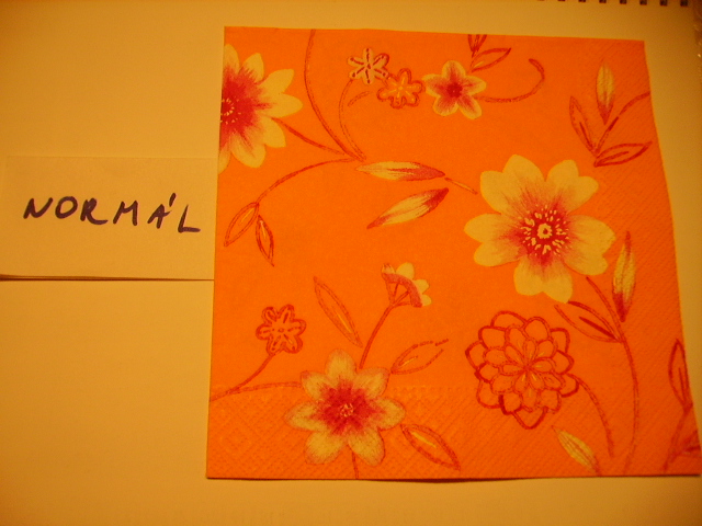 szalvta: PID14086.JPG