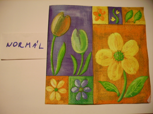 szalvta: PID14106.JPG