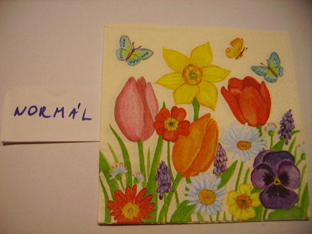 szalvta: PID15083.JPG