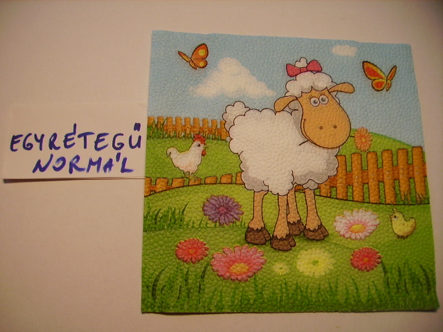 szalvta: PID15087.JPG