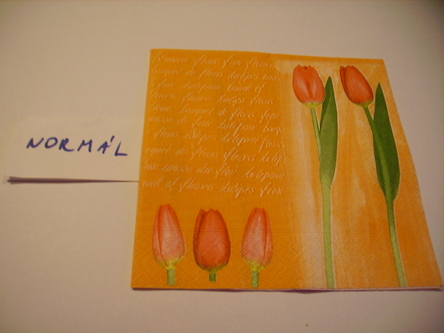 szalvta: PID15132.JPG