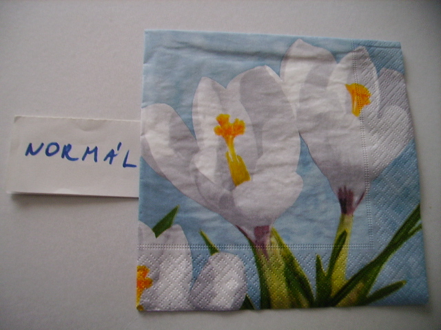 szalvta: PID15259.JPG