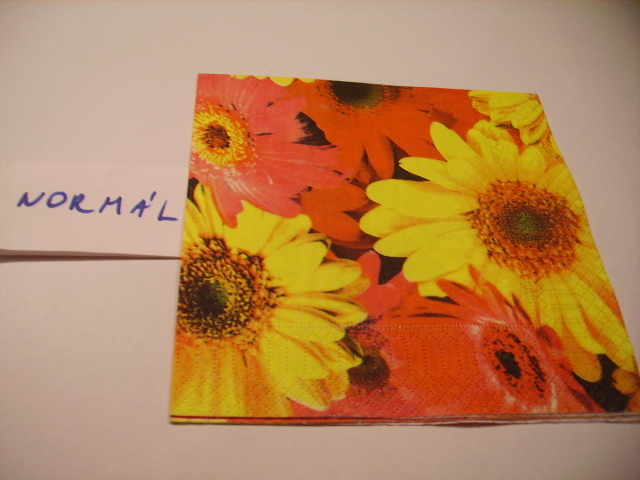 szalvta: PID15312.JPG